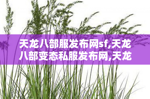 天龙八部服发布网sf,天龙八部变态私服发布网,天龙八部私服网站发布网,天龙八部变态私服发布网