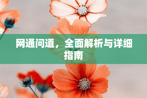 网通问道，全面解析与详细指南