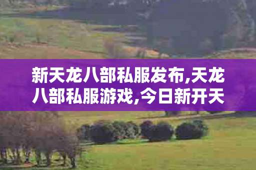 新天龙八部私服发布,天龙八部私服游戏,今日新开天龙sf发布网,天龙八部私服游戏