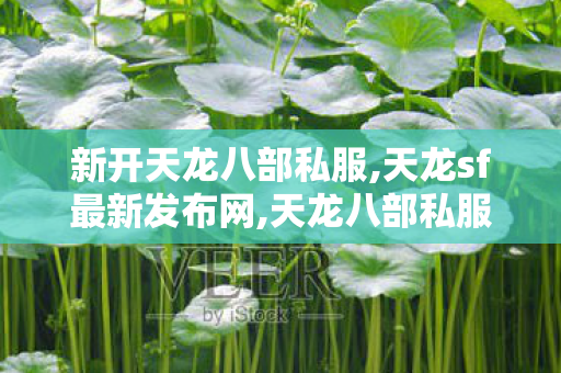 新开天龙八部私服,天龙sf最新发布网,天龙八部私服泄露,天龙sf最新发布网