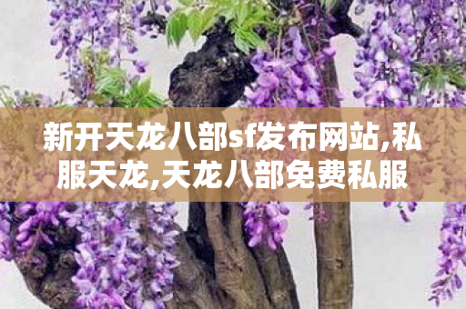 新开天龙八部sf发布网站,私服天龙,天龙八部免费私服发布网,私服天龙