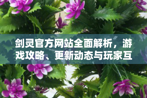 剑灵官方网站全面解析，游戏攻略、更新动态与玩家互动指南