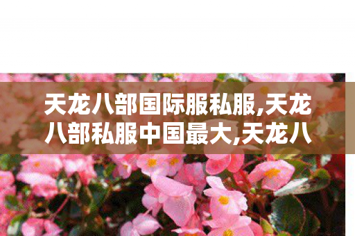 天龙八部国际服私服,天龙八部私服中国最大,天龙八部私服游戏,天龙八部私服中国最大