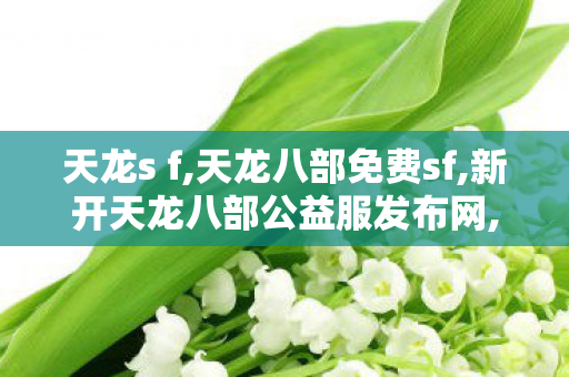 天龙s f,天龙八部免费sf,新开天龙八部公益服发布网,天龙八部免费sf