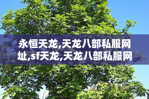 永恒天龙,天龙八部私服网址,sf天龙,天龙八部私服网址