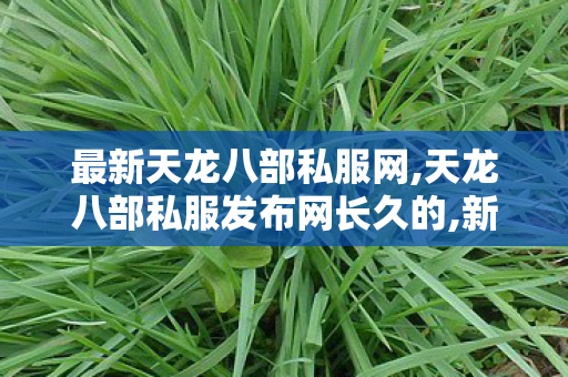 最新天龙八部私服网,天龙八部私服发布网长久的,新天龙八部sf网,天龙八部私服发布网长久的