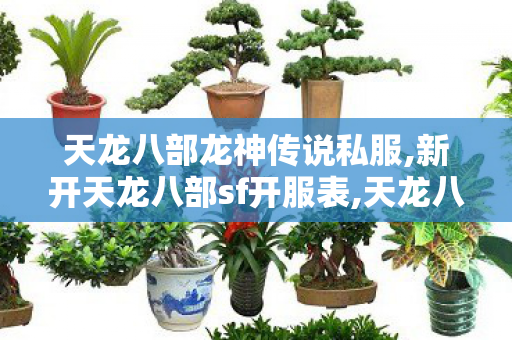 天龙八部龙神传说私服,新开天龙八部sf开服表,天龙八部私服网站发布网,新开天龙八部sf开服表