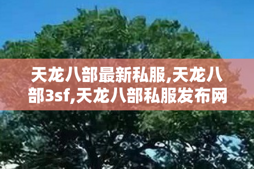 天龙八部最新私服,天龙八部3sf,天龙八部私服发布网sf,天龙八部3sf