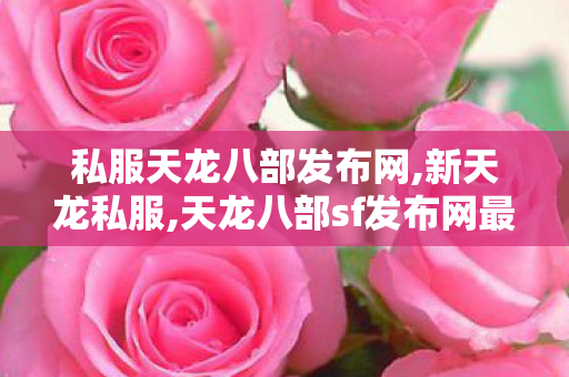 私服天龙八部发布网,新天龙私服,天龙八部sf发布网最新官网,新天龙私服