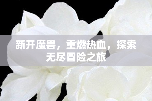 新开魔兽，重燃热血，探索无尽冒险之旅