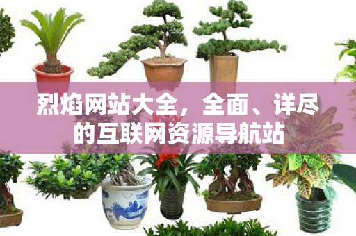 烈焰网站大全，全面、详尽的互联网资源导航站