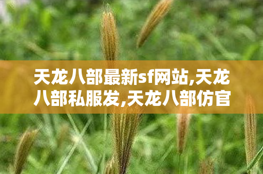 天龙八部最新sf网站,天龙八部私服发,天龙八部仿官方私服,天龙八部私服发
