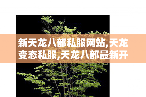 新天龙八部私服网站,天龙变态私服,天龙八部最新开服sf公益服,天龙变态私服