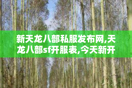 新天龙八部私服发布网,天龙八部sf开服表,今天新开天龙sf,天龙八部sf开服表