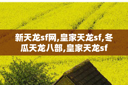 新天龙sf网,皇家天龙sf,冬瓜天龙八部,皇家天龙sf