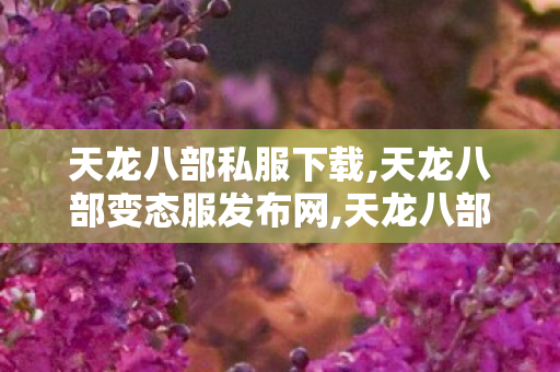 天龙八部私服下载,天龙八部变态服发布网,天龙八部sf网站,天龙八部变态服发布网