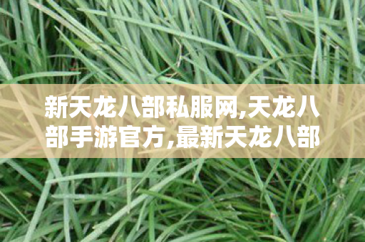 新天龙八部私服网,天龙八部手游官方,最新天龙八部私服,天龙八部手游官方