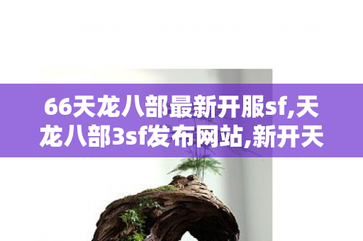 66天龙八部最新开服sf,天龙八部3sf发布网站,新开天龙八部,天龙八部3sf发布网站