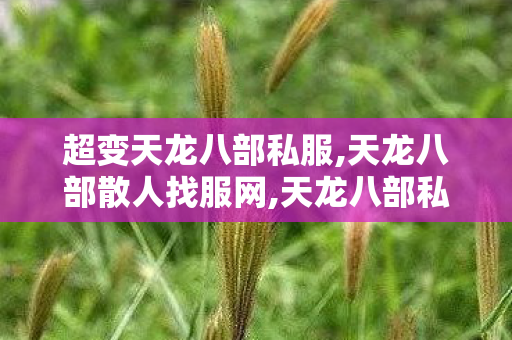 超变天龙八部私服,天龙八部散人找服网,天龙八部私服发布网站,天龙八部散人找服网