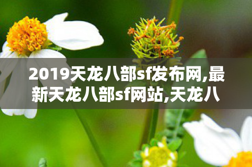 2019天龙八部sf发布网,最新天龙八部sf网站,天龙八部私服,最新天龙八部sf网站