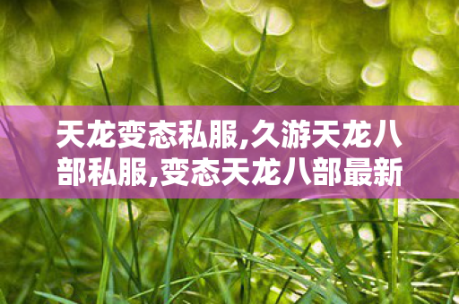 天龙变态私服,久游天龙八部私服,变态天龙八部最新开服表,久游天龙八部私服