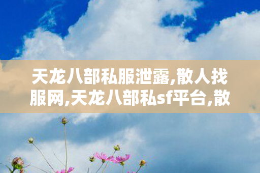 天龙八部私服泄露,散人找服网,天龙八部私sf平台,散人找服网