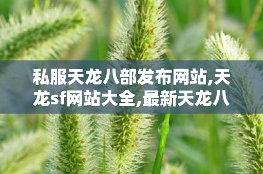 私服天龙八部发布网站,天龙sf网站大全,最新天龙八部复古私服发布网,天龙sf网站大全