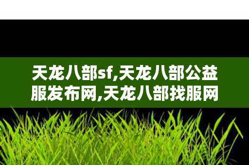 天龙八部sf,天龙八部公益服发布网,天龙八部找服网,天龙八部公益服发布网
