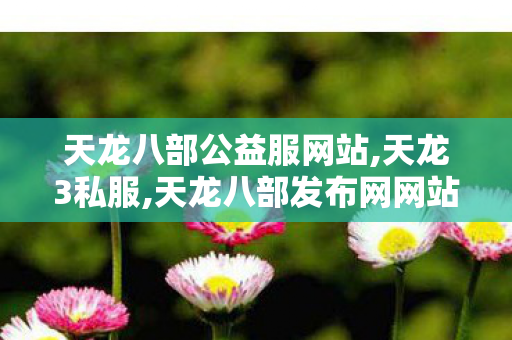 天龙八部公益服网站,天龙3私服,天龙八部发布网网站,天龙3私服