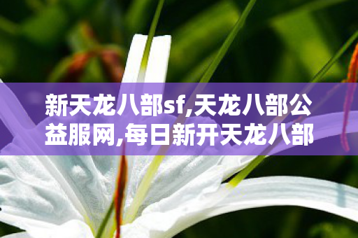 新天龙八部sf,天龙八部公益服网,每日新开天龙八部发布网,天龙八部公益服网