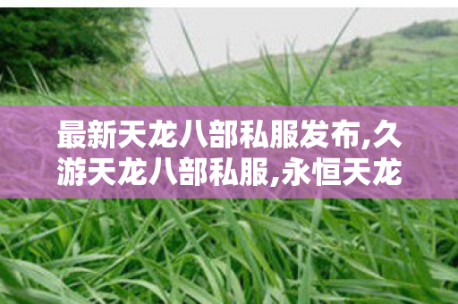 最新天龙八部私服发布,久游天龙八部私服,永恒天龙,久游天龙八部私服