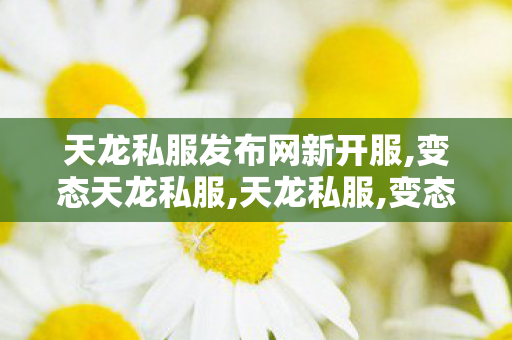 天龙私服发布网新开服,变态天龙私服,天龙私服,变态天龙私服