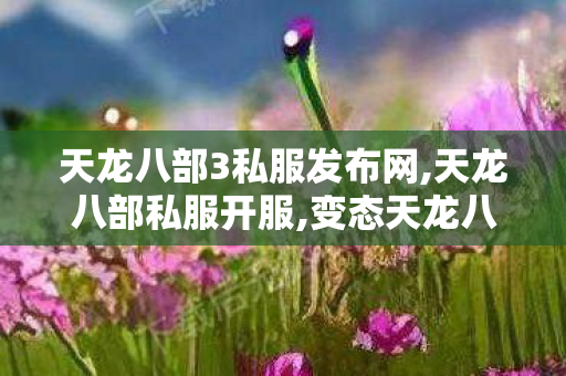 天龙八部3私服发布网,天龙八部私服开服,变态天龙八部发布网,天龙八部私服开服