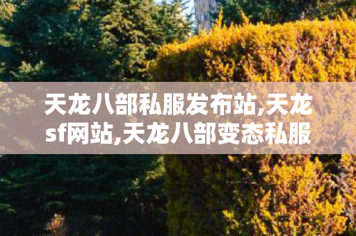 天龙八部私服发布站,天龙sf网站,天龙八部变态私服发布网,天龙sf网站