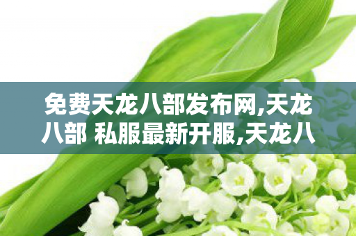 免费天龙八部发布网,天龙八部 私服最新开服,天龙八部3最新开服表,天龙八部 私服最新开服