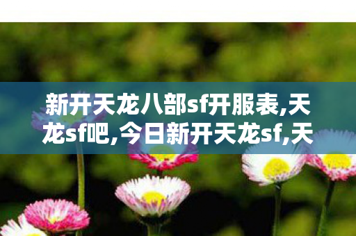 新开天龙八部sf开服表,天龙sf吧,今日新开天龙sf,天龙sf吧