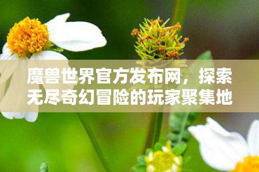 魔兽世界官方发布网，探索无尽奇幻冒险的玩家聚集地