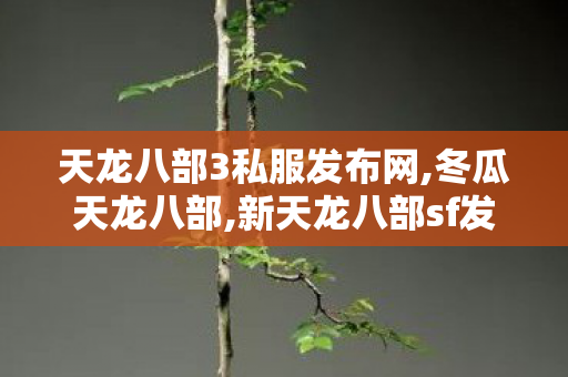 天龙八部3私服发布网,冬瓜天龙八部,新天龙八部sf发布网站,冬瓜天龙八部