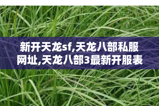 新开天龙sf,天龙八部私服网址,天龙八部3最新开服表,天龙八部私服网址