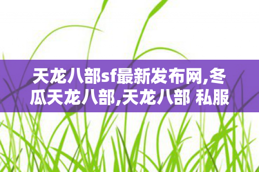 天龙八部sf最新发布网,冬瓜天龙八部,天龙八部 私服最新开服,冬瓜天龙八部