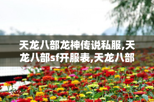 天龙八部龙神传说私服,天龙八部sf开服表,天龙八部手游私服发布网,天龙八部sf开服表