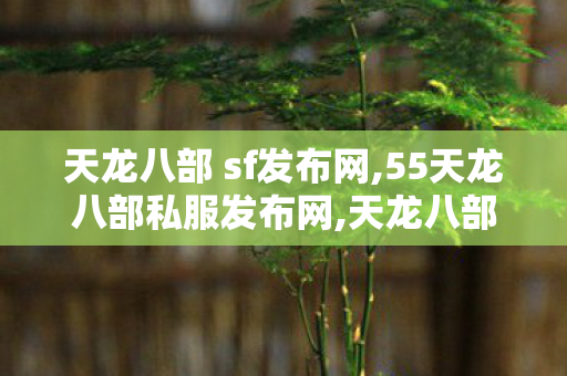 天龙八部 sf发布网,55天龙八部私服发布网,天龙八部公益服发布网,55天龙八部私服发布网