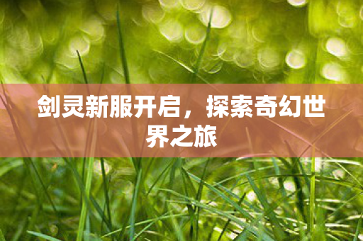 剑灵新服开启，探索奇幻世界之旅