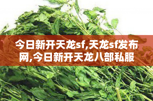 今日新开天龙sf,天龙sf发布网,今日新开天龙八部私服,天龙sf发布网