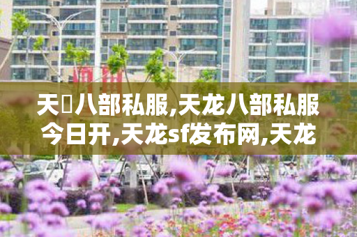 天龍八部私服,天龙八部私服今日开,天龙sf发布网,天龙八部私服今日开