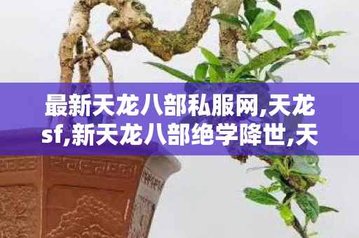 最新天龙八部私服网,天龙sf,新天龙八部绝学降世,天龙sf
