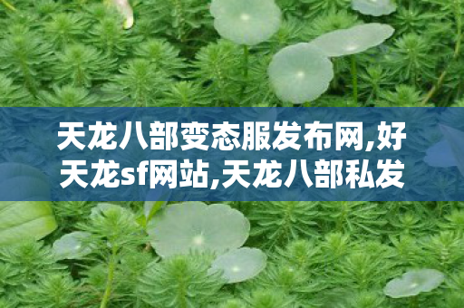 天龙八部变态服发布网,好天龙sf网站,天龙八部私发网,好天龙sf网站