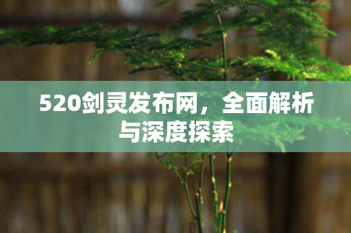 520剑灵发布网，全面解析与深度探索