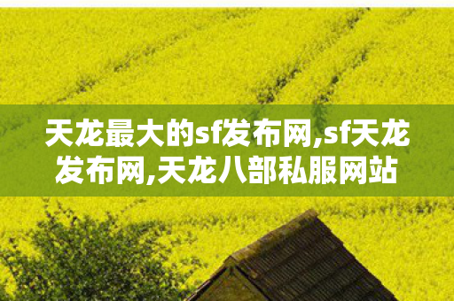 天龙最大的sf发布网,sf天龙发布网,天龙八部私服网站发布网,sf天龙发布网