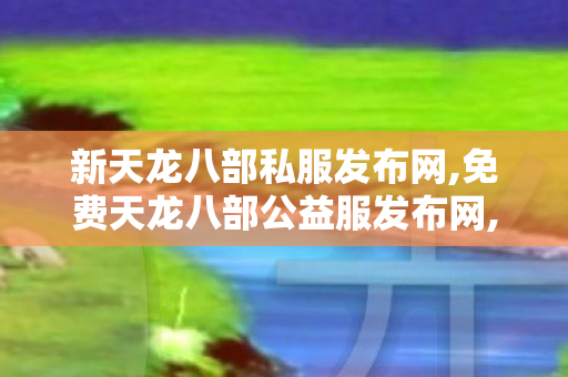 新天龙八部私服发布网,免费天龙八部公益服发布网,变态天龙八部,免费天龙八部公益服发布网